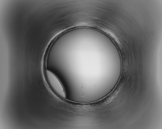 X0000096180991200801180846