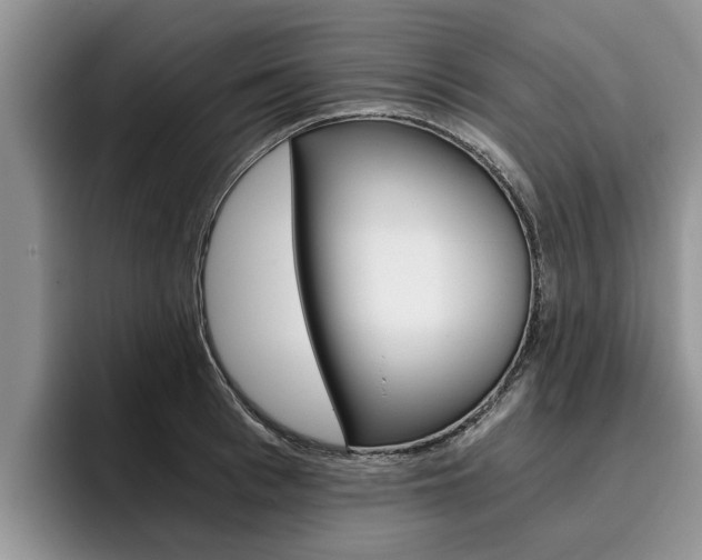 X0000096180993200801180846
