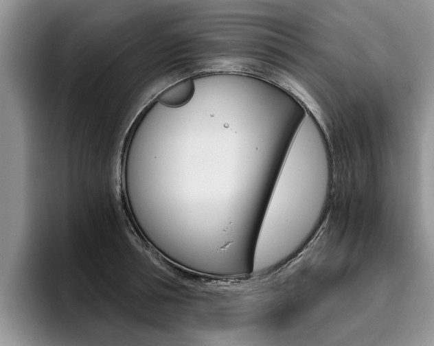 X0000096180994200801180846