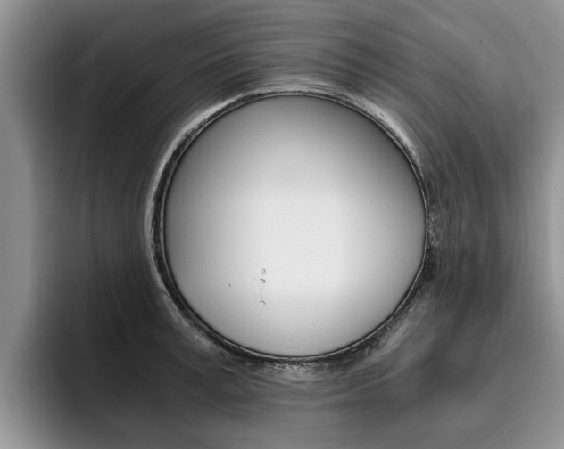 X0000096180995200801180846