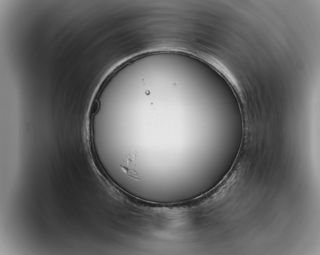 X0000096180996200801180846