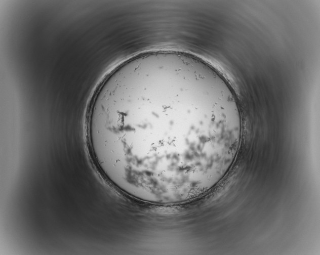 X0000096180998200801180846