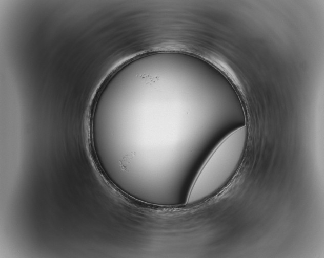 X0000096181000200801180846