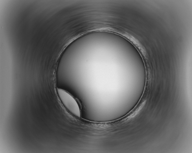 X0000096181001200801180846