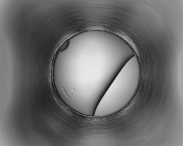 X0000096181002200801180846