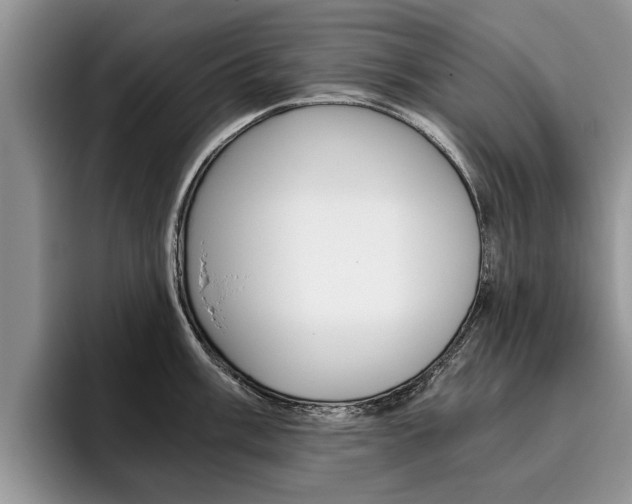 X0000096181003200801180846