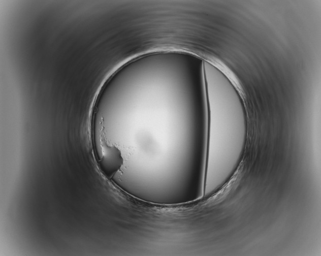 X0000096181004200801180846