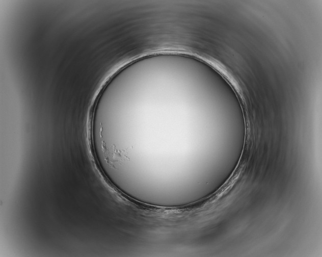 X0000096181006200801180846
