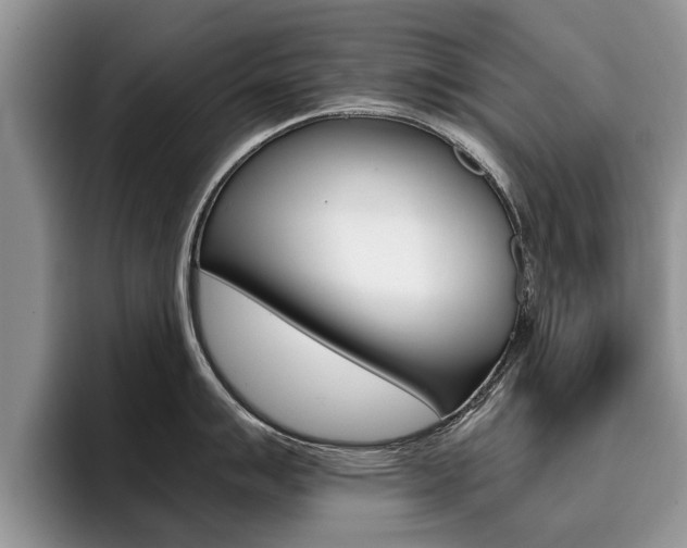 X0000096181007200801180846