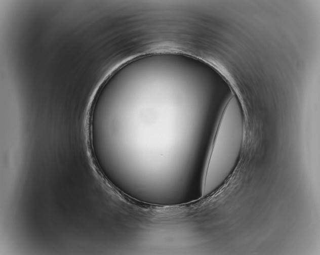 X0000096181008200801180846