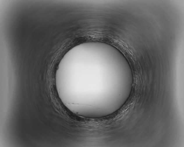X0000096181009200801180846