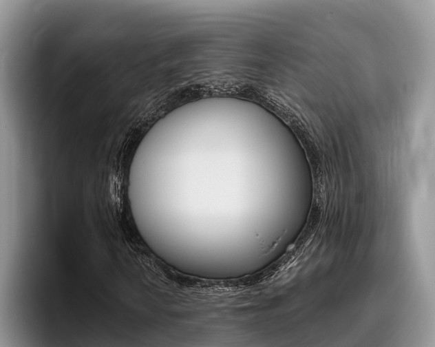 X0000096181010200801180846
