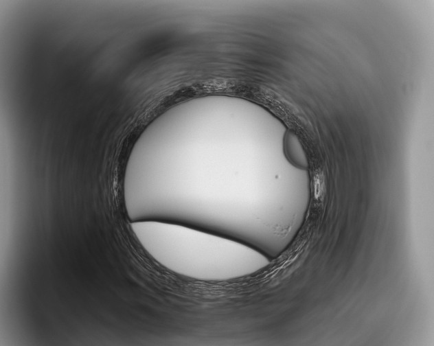 X0000096181011200801180846
