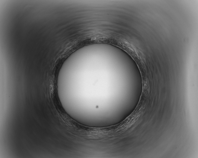X0000096181012200801180846