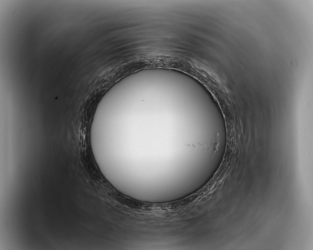 X0000096181013200801180846