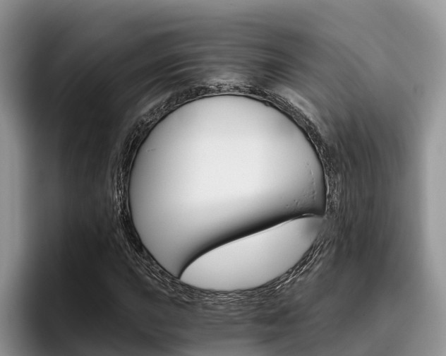 X0000096181015200801180846