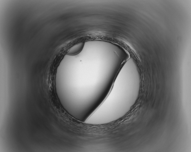 X0000096181016200801180846