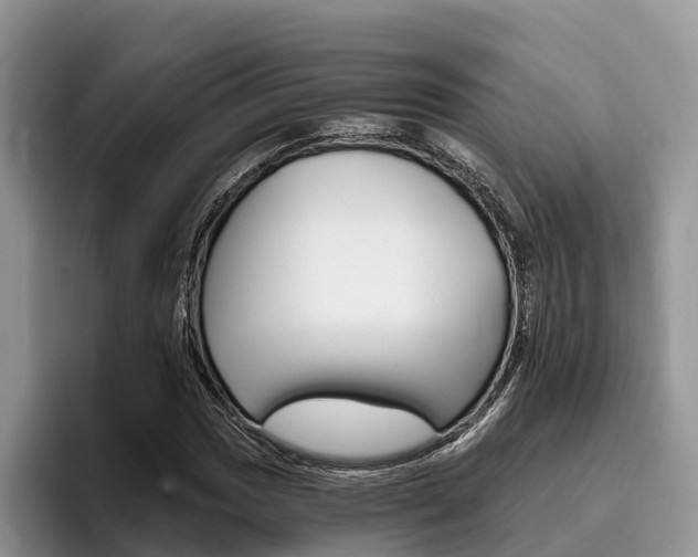 X0000096181017200801180846