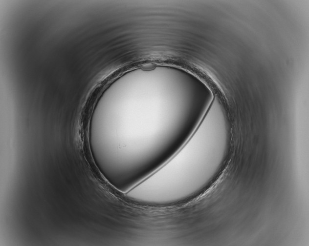 X0000096181018200801180846