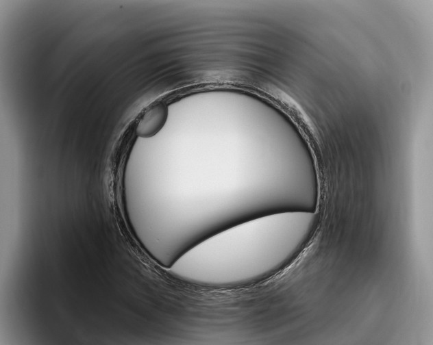 X0000096181019200801180846