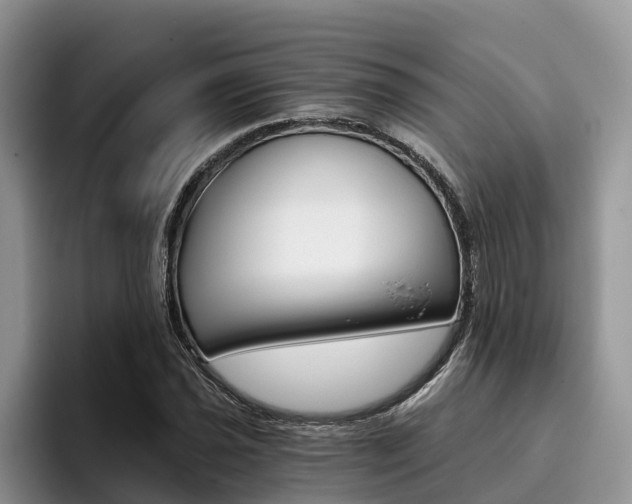 X0000096181021200801180846
