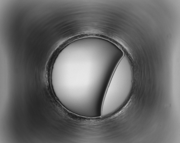 X0000096181022200801180846