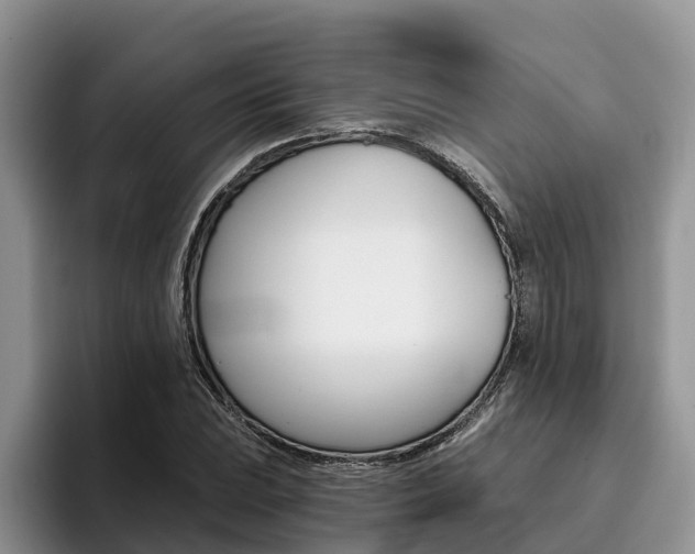X0000096181023200801180846