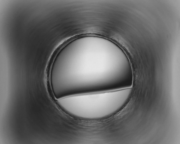 X0000096181024200801180846