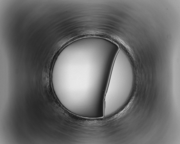 X0000096181025200801180846