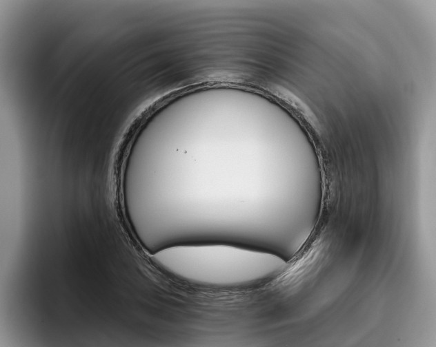 X0000096181027200801180846