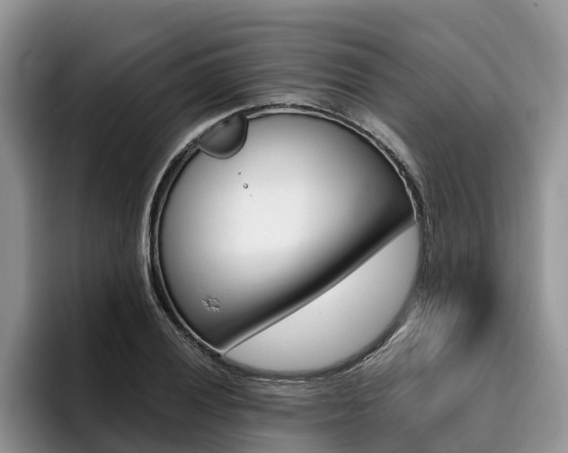 X0000096181028200801180846