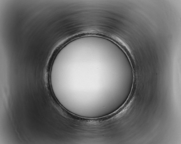 X0000096181029200801180846