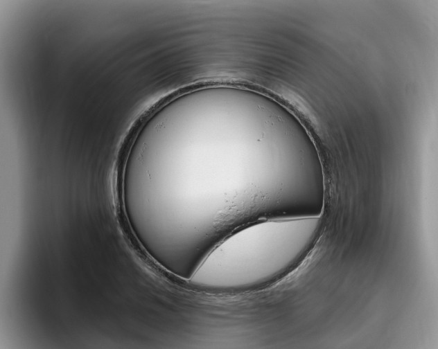 X0000096181030200801180846