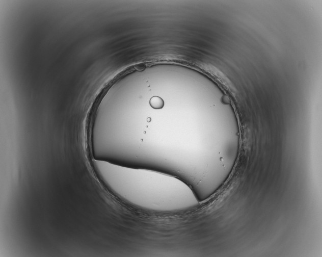 X0000096181031200801180846