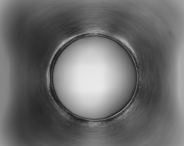 X0000096181032200801180846