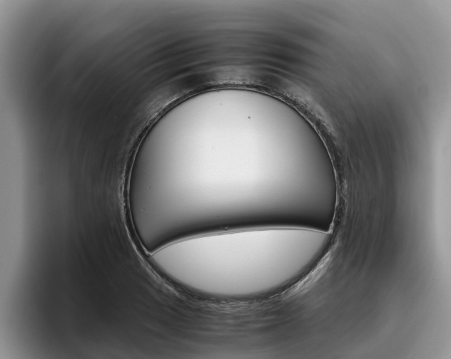 X0000096181033200801180846