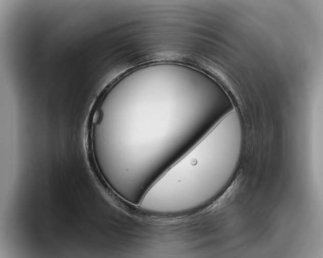 X0000096181034200801180846