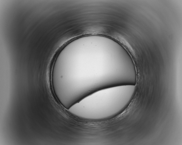 X0000096181035200801180846