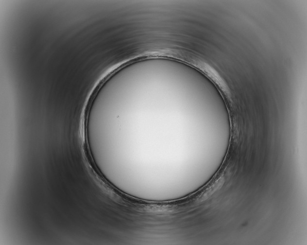 X0000096181036200801180846