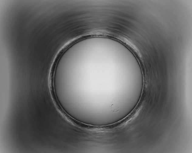 X0000096181037200801180846