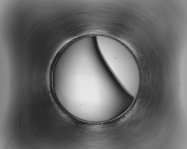 X0000096181038200801180846