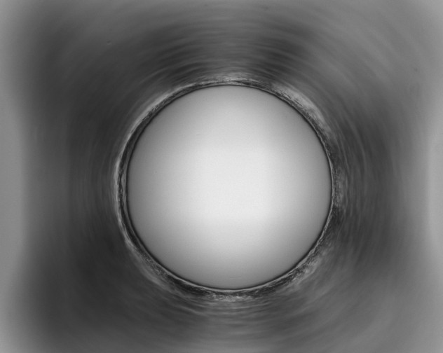 X0000096181039200801180846