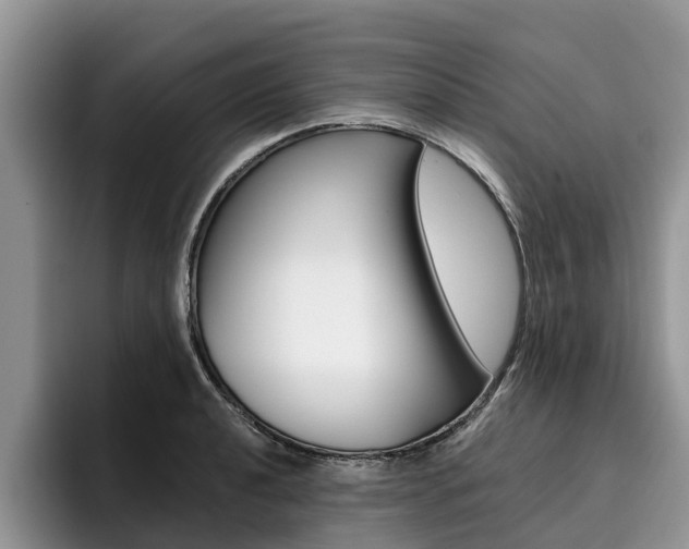 X0000096181040200801180846
