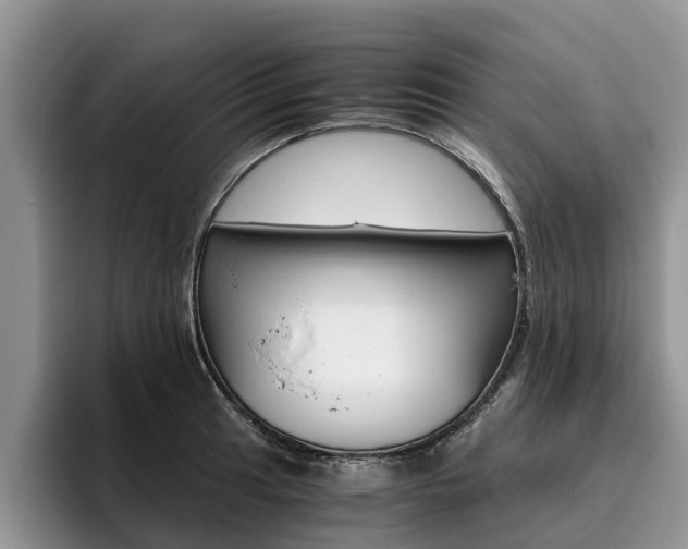 X0000096181041200801180846