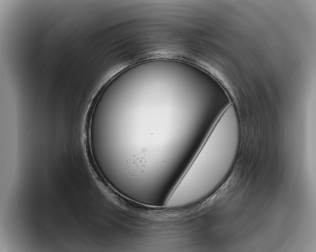 X0000096181042200801180846