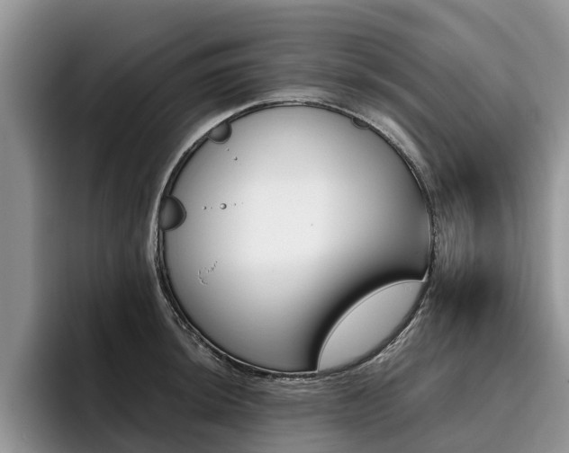 X0000096181044200801180846