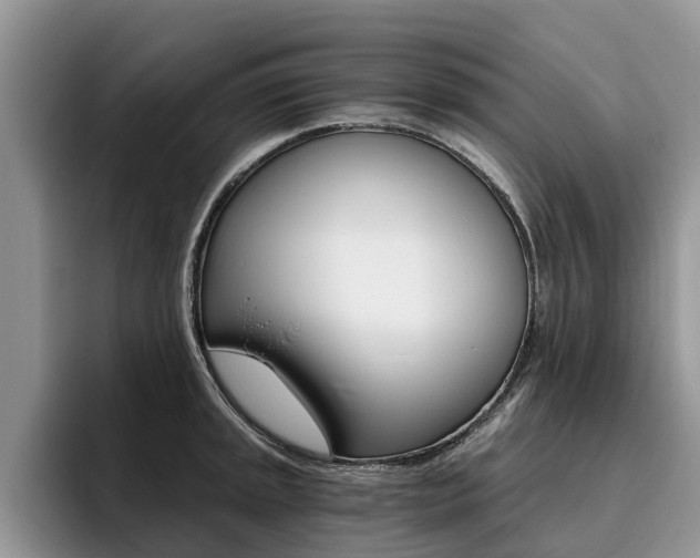 X0000096181045200801180846