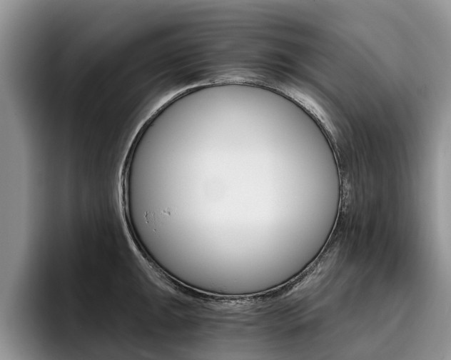 X0000096181047200801180846