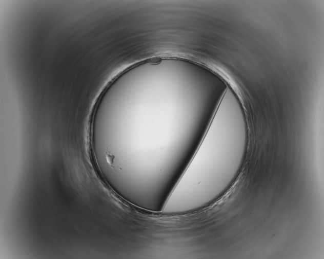 X0000096181048200801180846