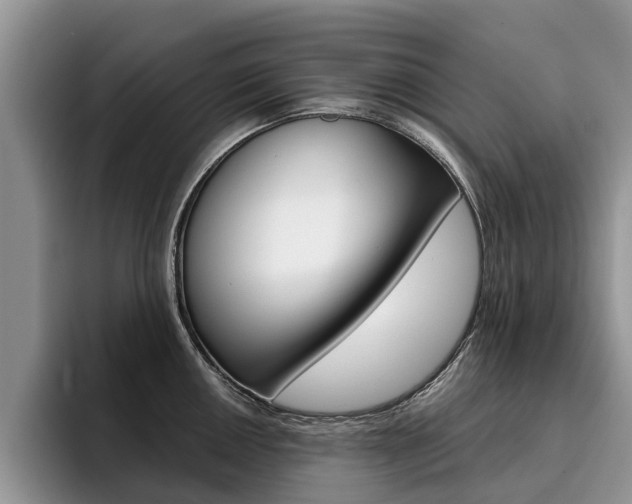 X0000096181050200801180846